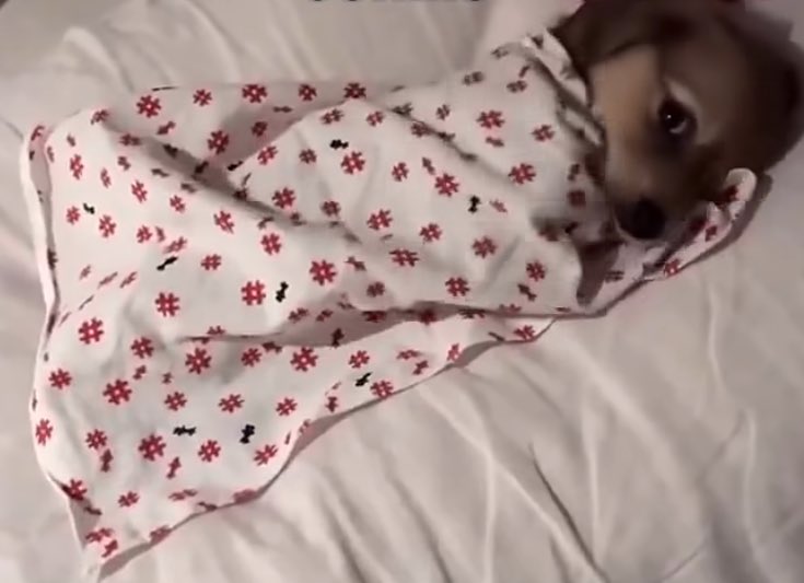 donmaktan olucem ama ses edemiyorum cunku kisciyim