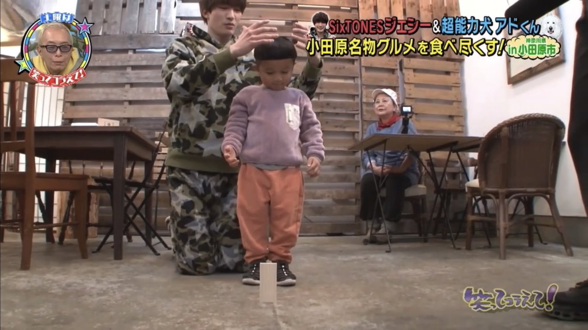 ぶーちゃん tweet media