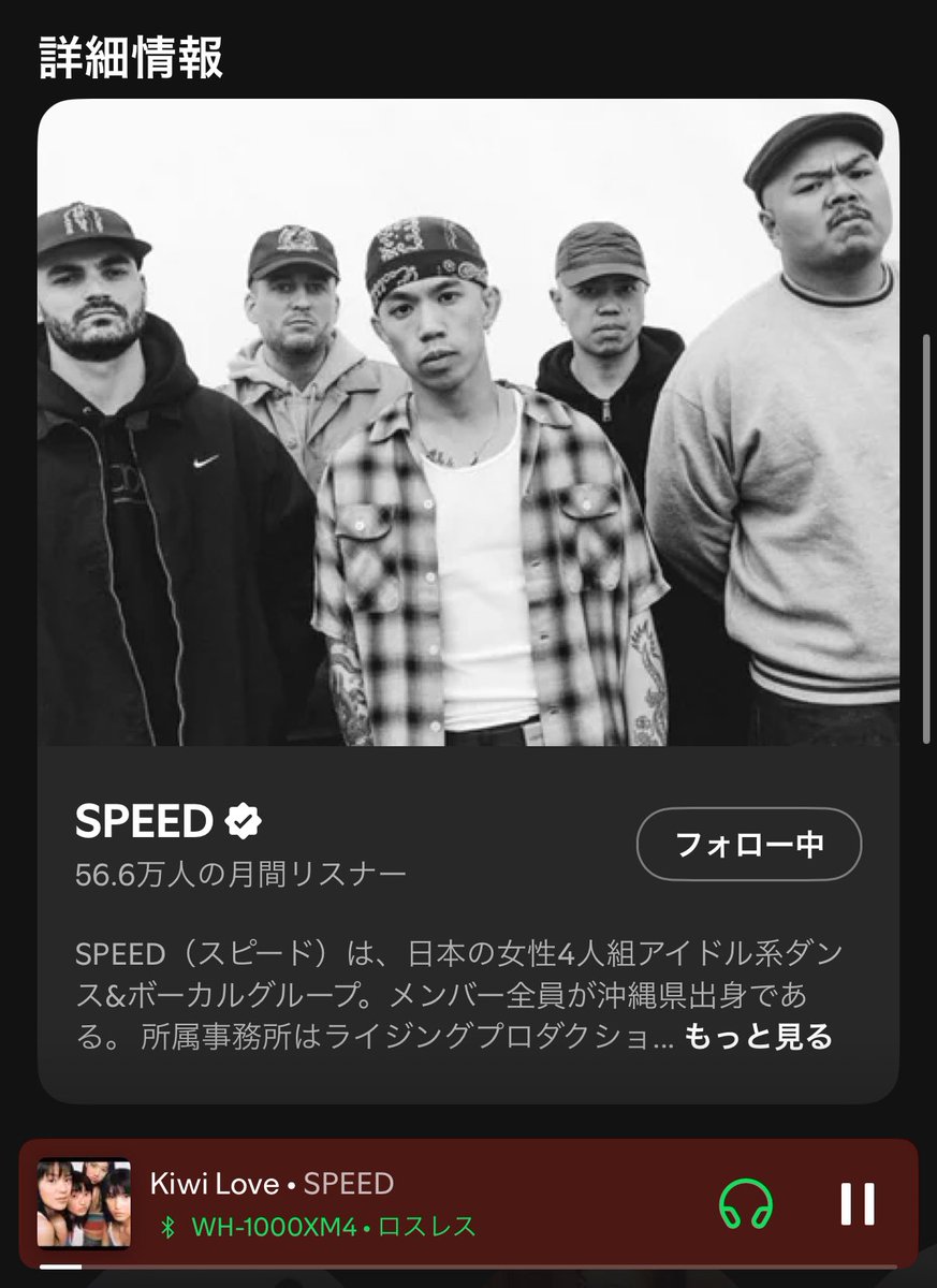 【早い者勝ち】欺瞞 ボーダーレス 日本語 2枚セット SPEED？www