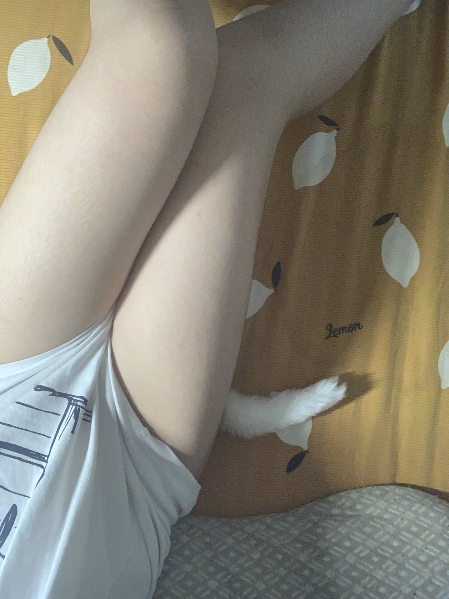 余酱♡～ tweet media