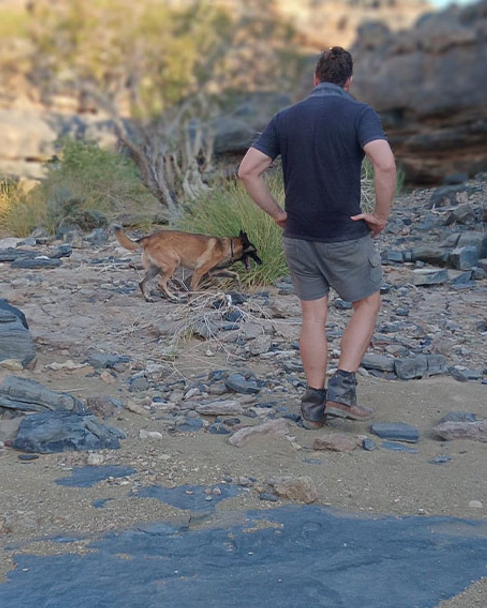 Cheetah Conservation Fund tweet media