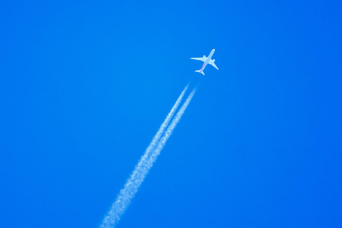 #これを見た人は何か青いものをあげる