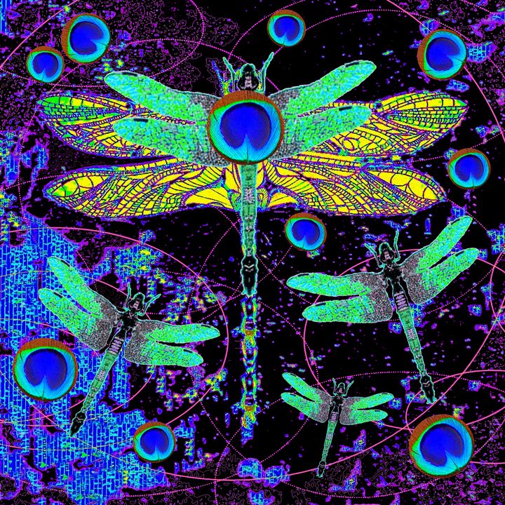 sharlesart's tweet photo. Art of the Day! "ABSTRACTED DRAGONFLIES, PEACOCK ART". Buy at: https://t.co/Zs0qZ0QkER https://t.co/P4ciIi3t63