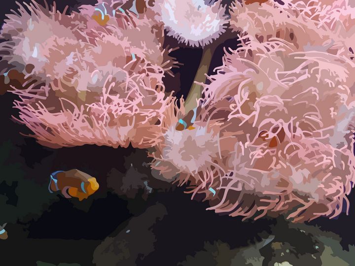 NubesDesign's tweet image. Art of the Day! "Clown Fish Derivation". Buy at: ArtPal.com/nubesdesignch?…