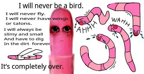 tttt_pics's tweet image. 