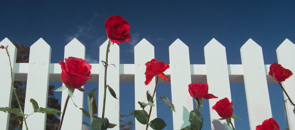 𝐁𝐞𝐬𝐭 𝐅𝐢𝐥𝐦 𝐅𝐫𝐚𝐦𝐞𝐬 tweet media