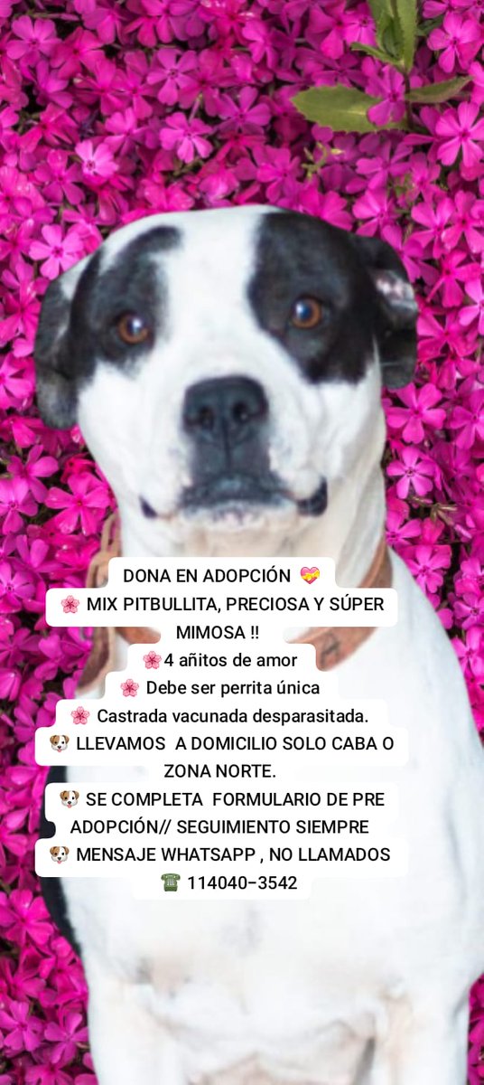 patripeyrou's tweet image. Difundimos