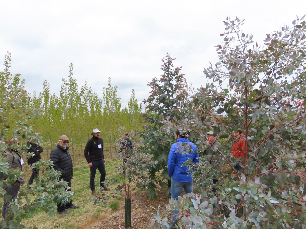 Terravesta's tweet photo. This week!🌱 CHCx3 Biomass Open Day – 21 Jan 2026
Free event | 9am–12pm | University of Leeds 
Hear from @ibers_aber, @Rothamsted, Willow Solutions &amp; Energy Crops Consultancy on willow, Miscanthus &amp; biomass crops. 

Free to book >>> https://t.co/a68izkewE2 https://t.co/bnjHALn4eL