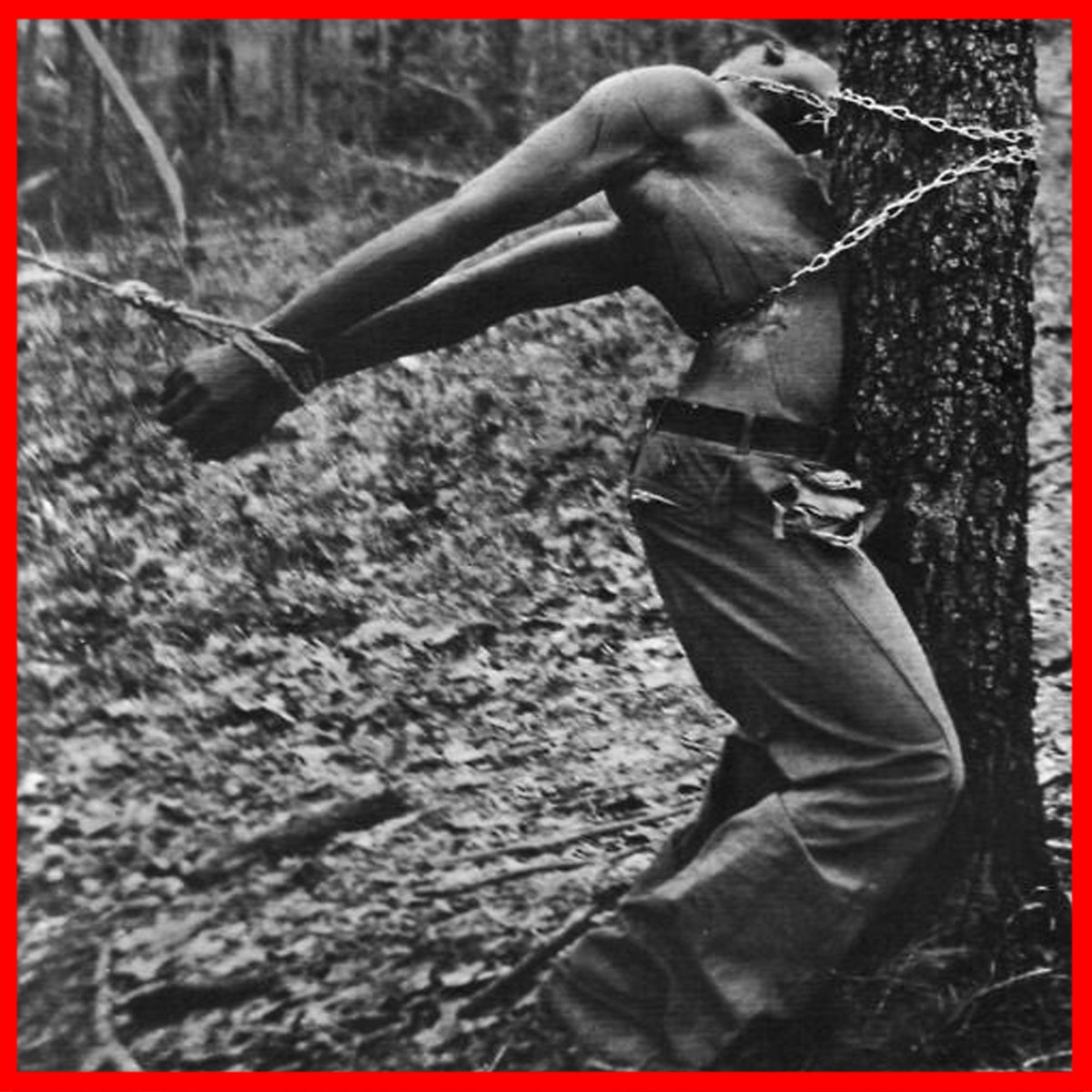 عائشة السيد - Aisha AlSayed tweet media