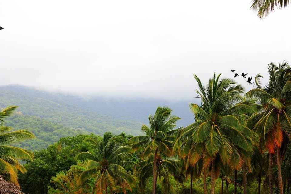 LoneSpectrum's tweet image. Facade of greenery: rural tranquility that creates memorable journeys. Some experiences cannot be forgotten.