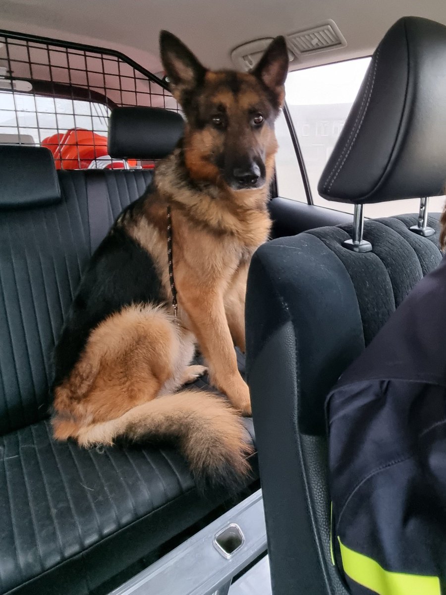 Dierenpolitie Oost-Brabant tweet media