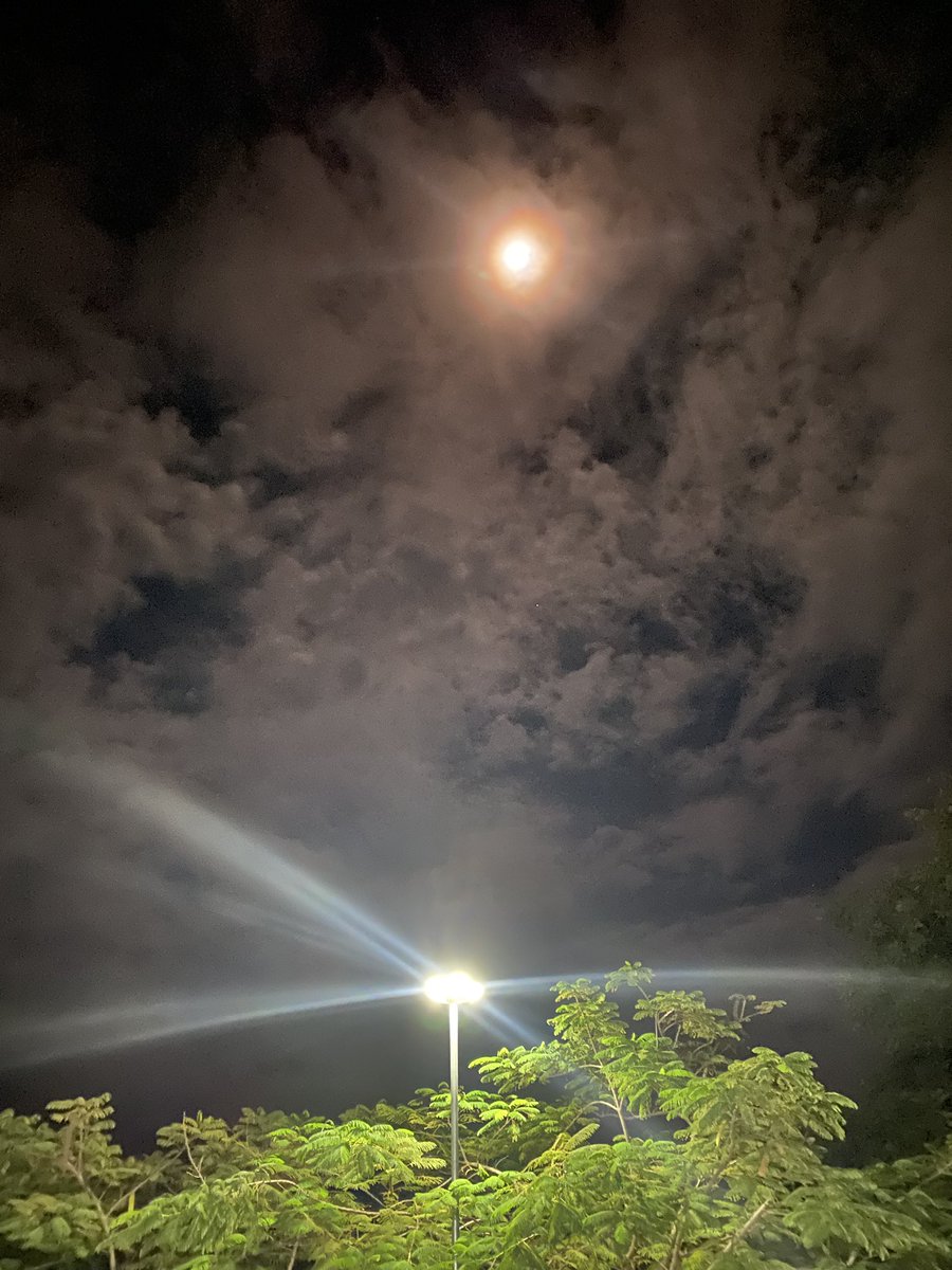 NuonLeang's tweet photo. https://t.co/D3ITXPcyTi