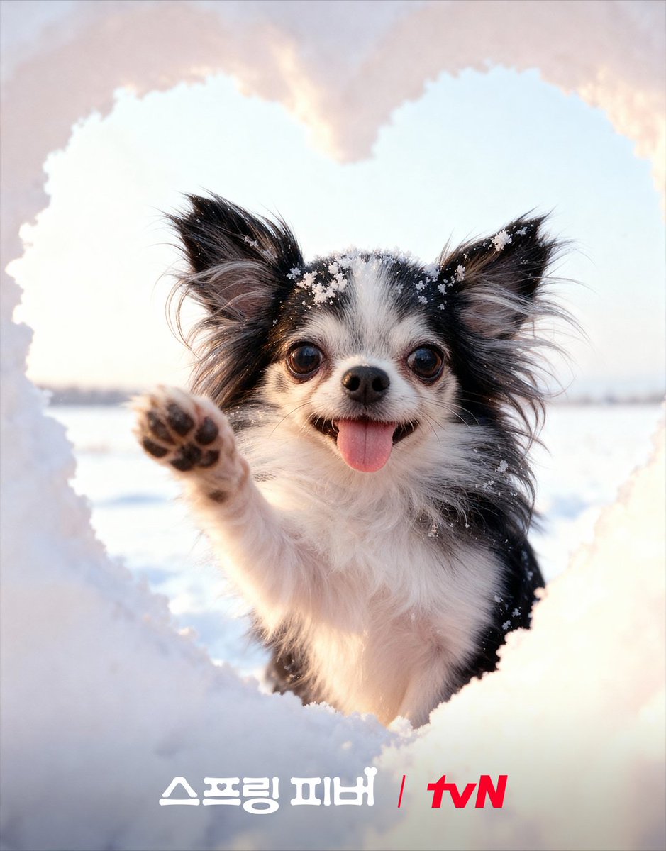 kdramamiss's tweet image. most adorable and heartmelting posters 🥹💕 #SpringFever