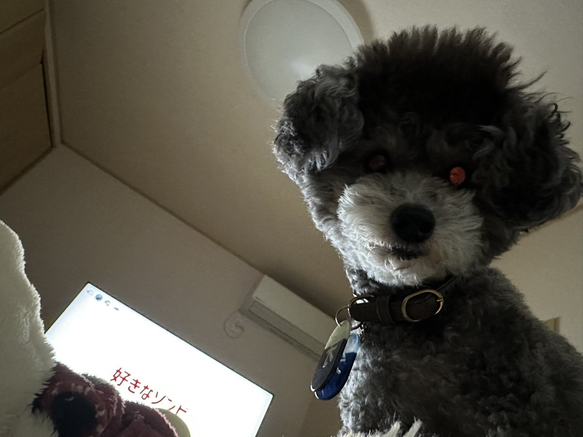 蜜桃まむ💧7️⃣ (@mamgon) / Posts / X