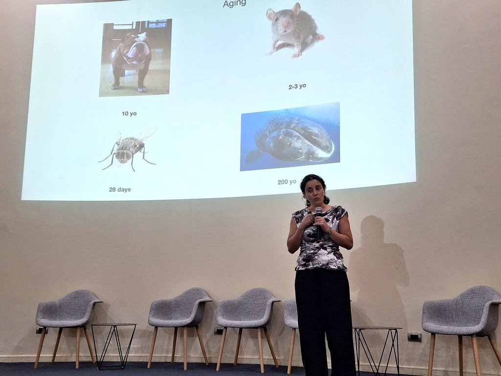 Doctorado en Ciencias Biomédicas UTalca tweet media