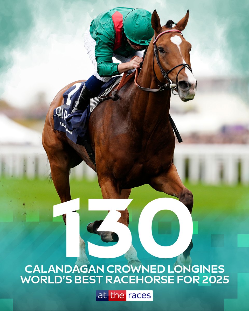 The best horse in the world! 💚