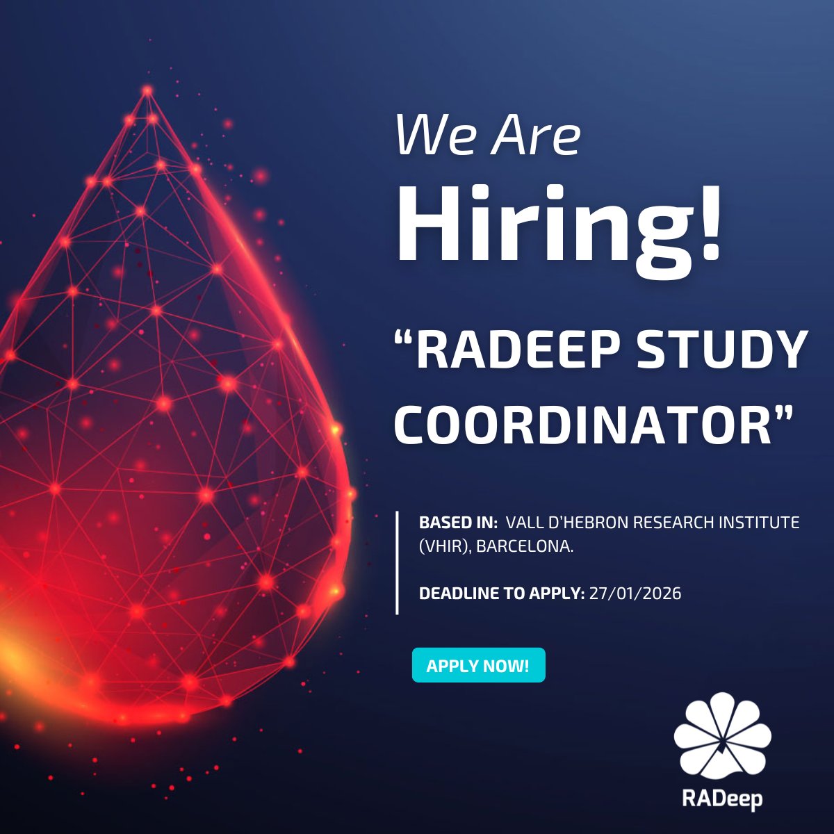 RADeep Network tweet media