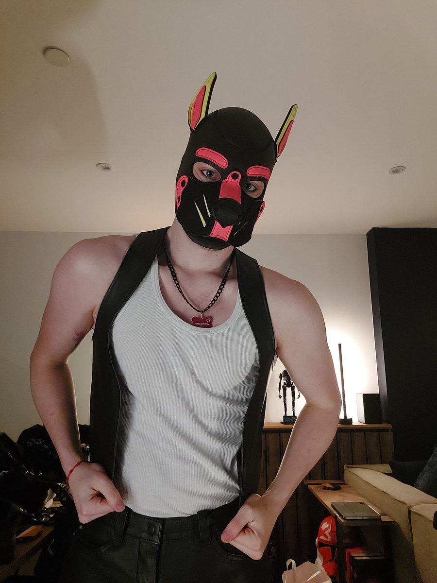 Pup Jacques tweet media