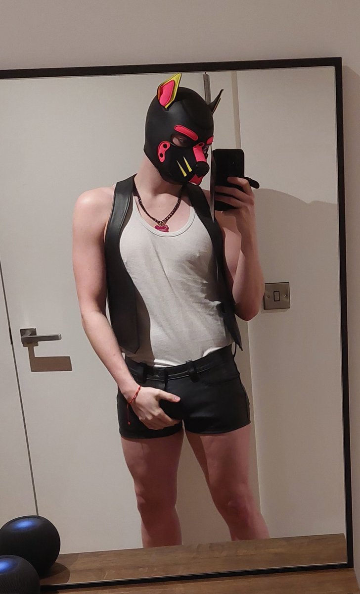 Pup Jacques tweet media