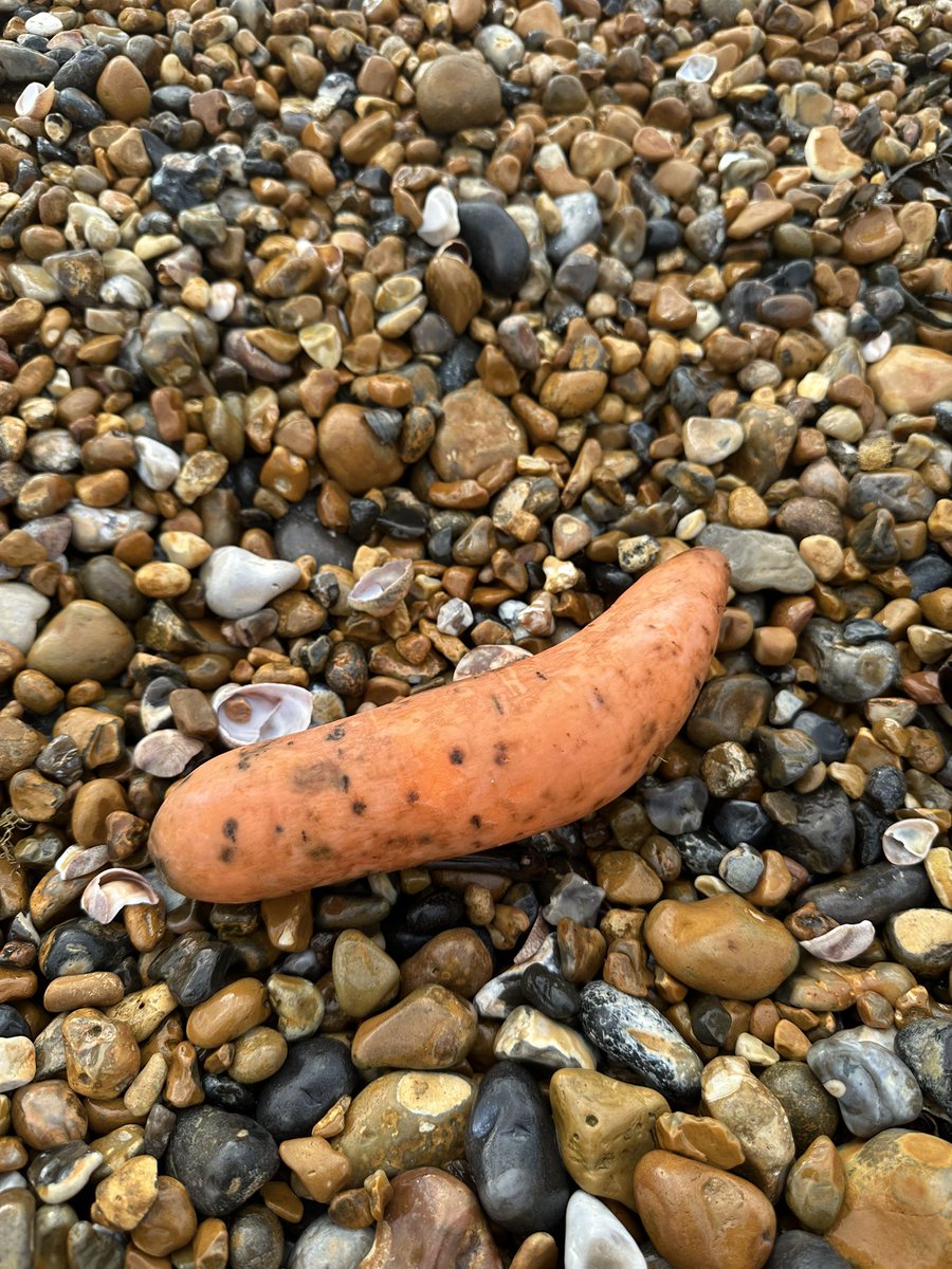 Andrea Heribanova tweet media