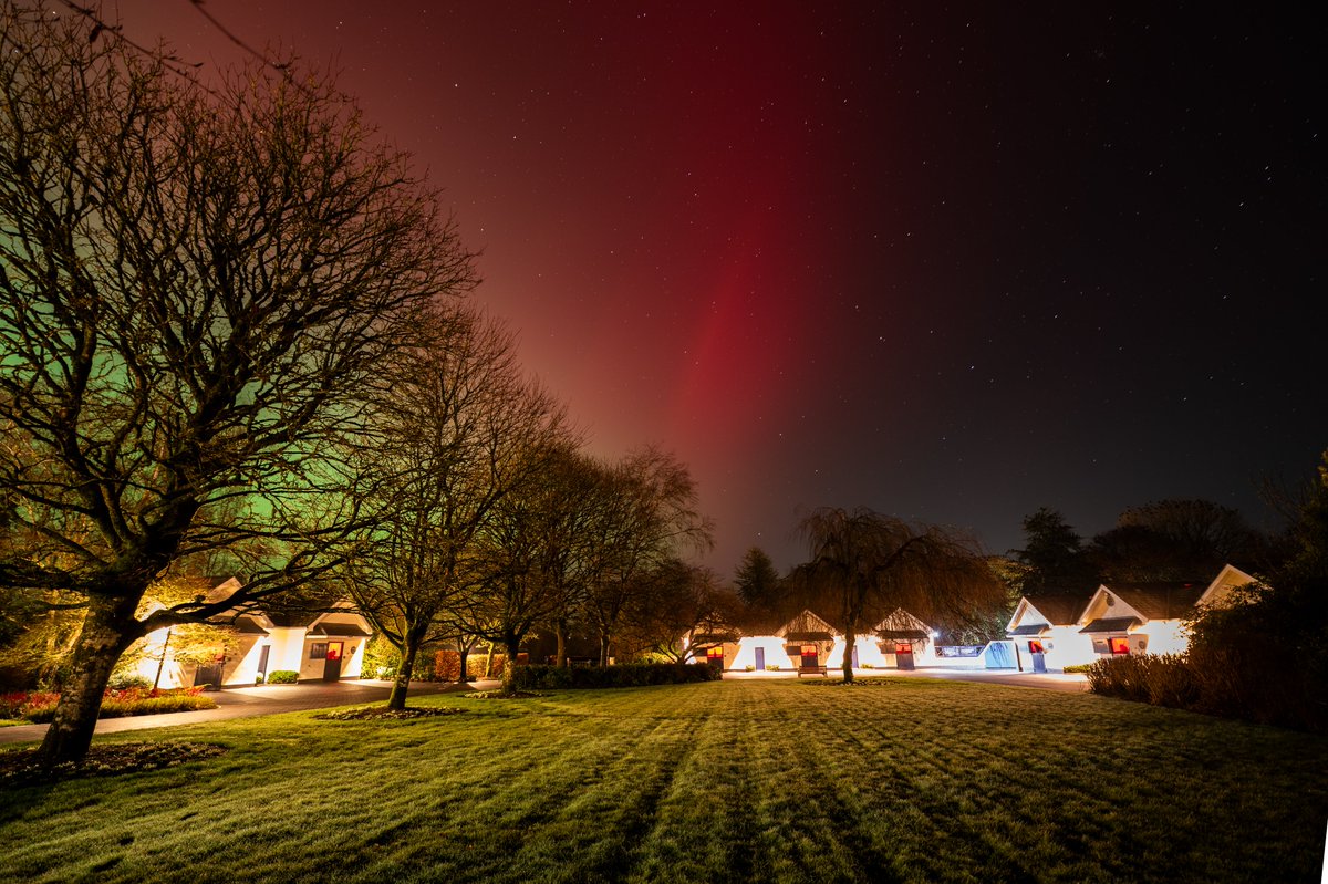 Coolmore tweet media