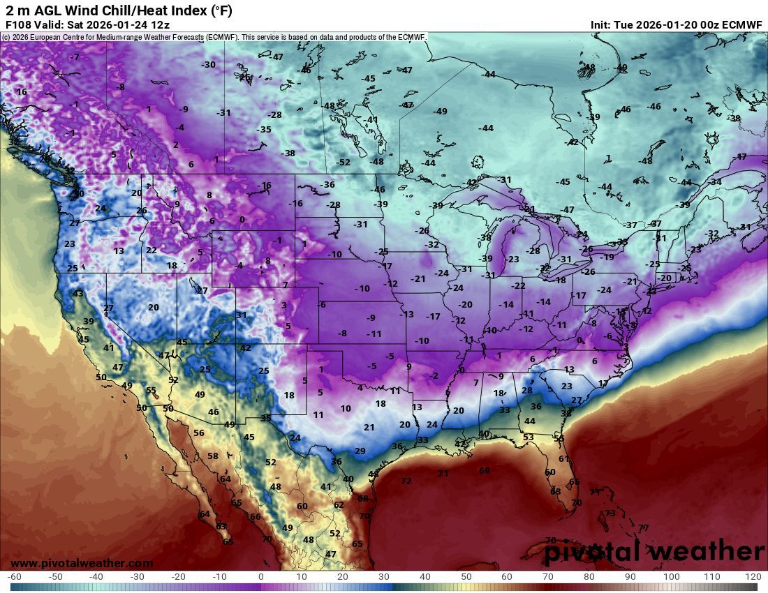 Max Velocity tweet media