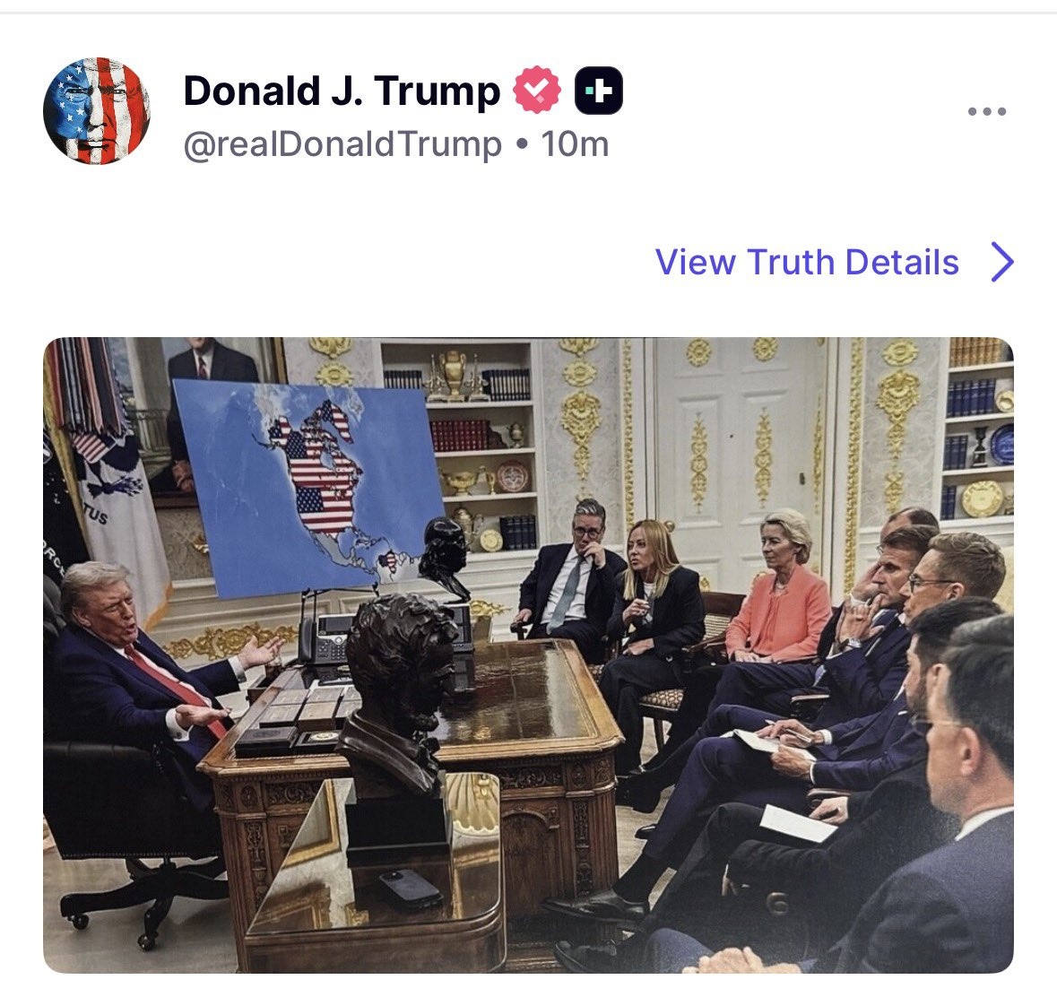 tern tweet media