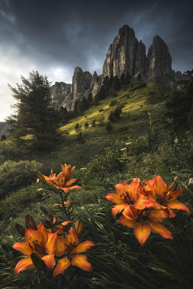 simpledisorder's tweet image. simpledisorder.com/pics.php?post=… #NaturePhotography #NatureBeauty #aestethics