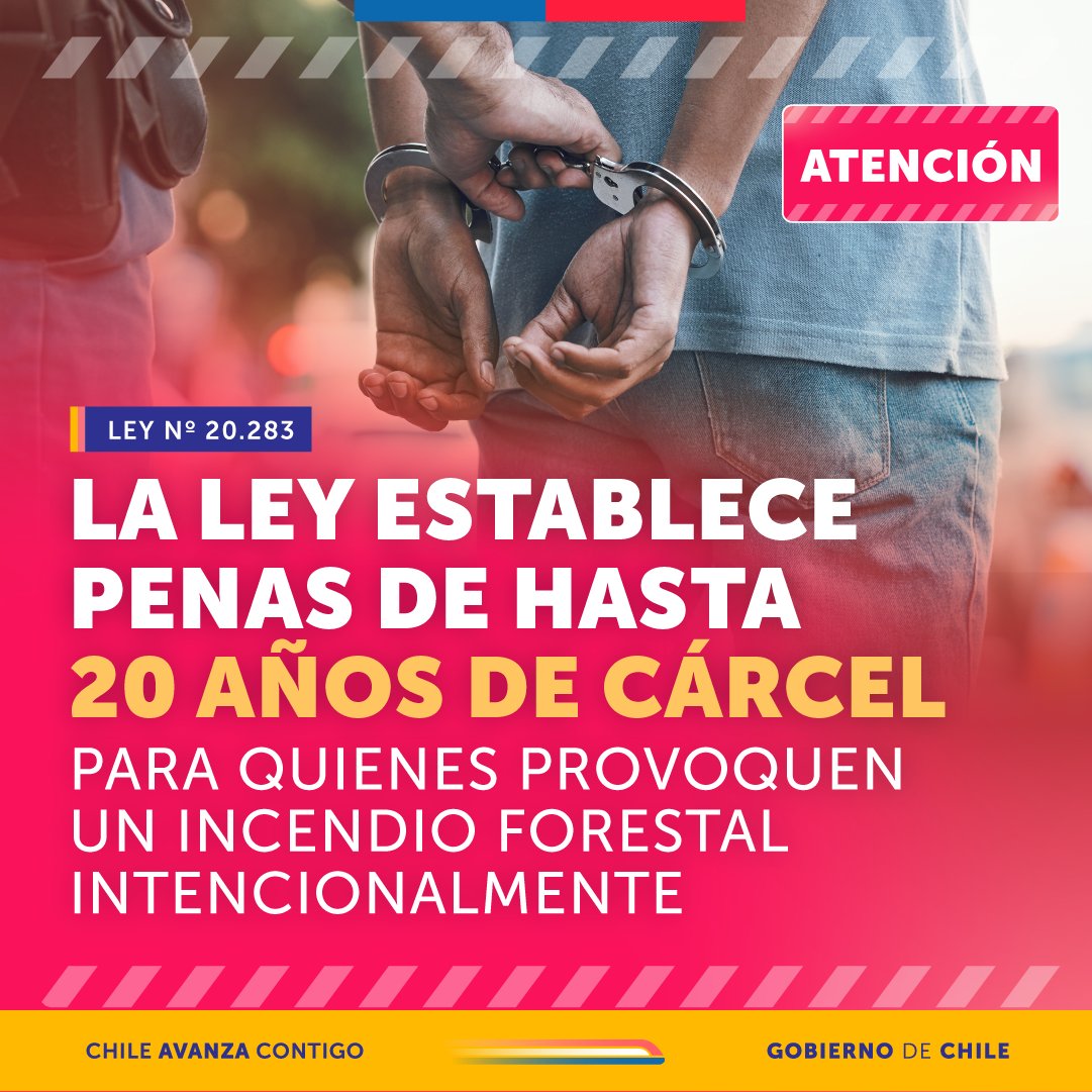 Quien provoque un incendio forestal arriesga hasta 20 años de cárcel y multas de hasta $12 millones.

🚨Si ves a alguien realizando acciones de riesgo, ¡DENUNCIA!
📞 CONAF: 130
📞 Bomberos: 132
📞 Carabineros: 133
📞 PDI: 134
📞 Denuncia Seguro: *4242