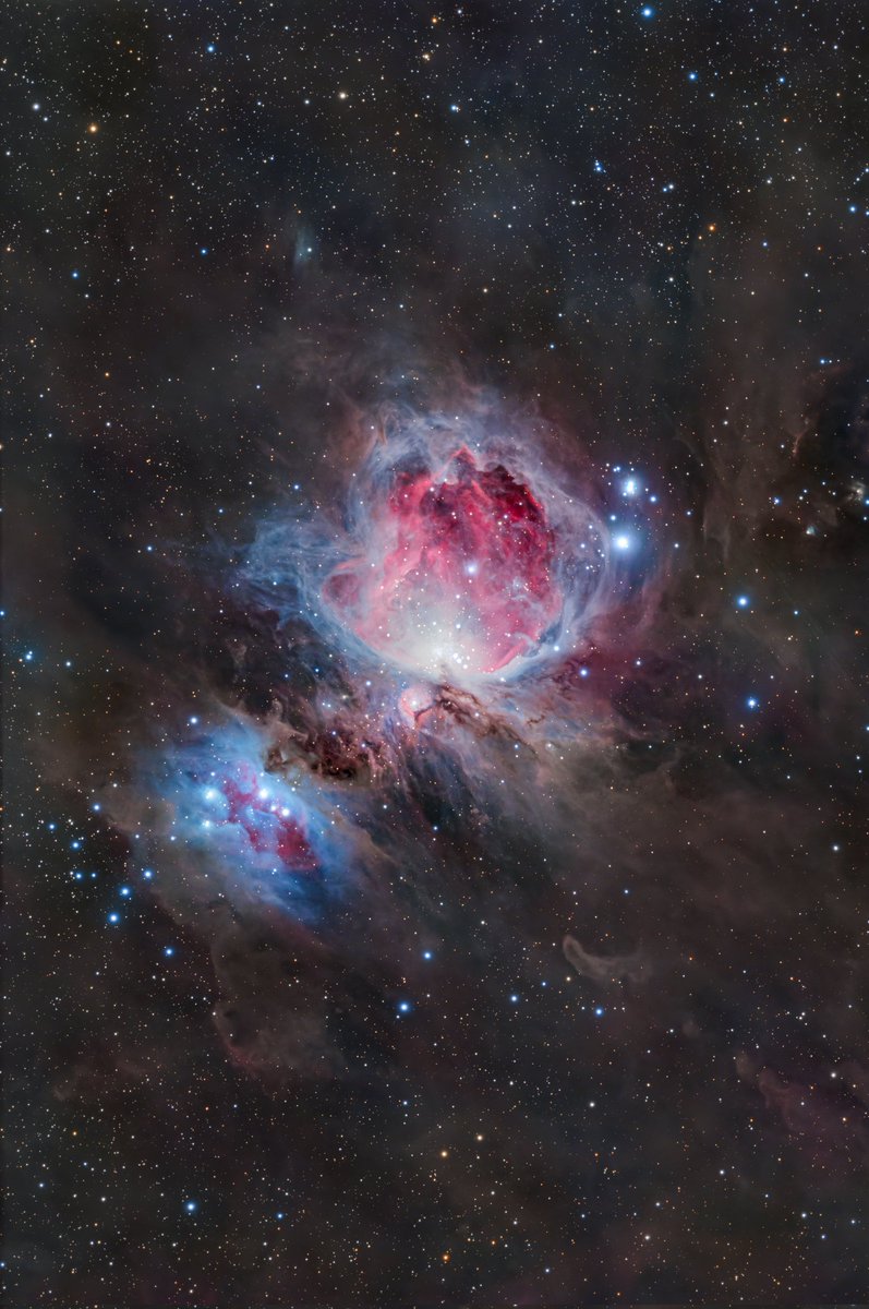 🇺🇸 Mazzif Astro 🇺🇸 tweet media