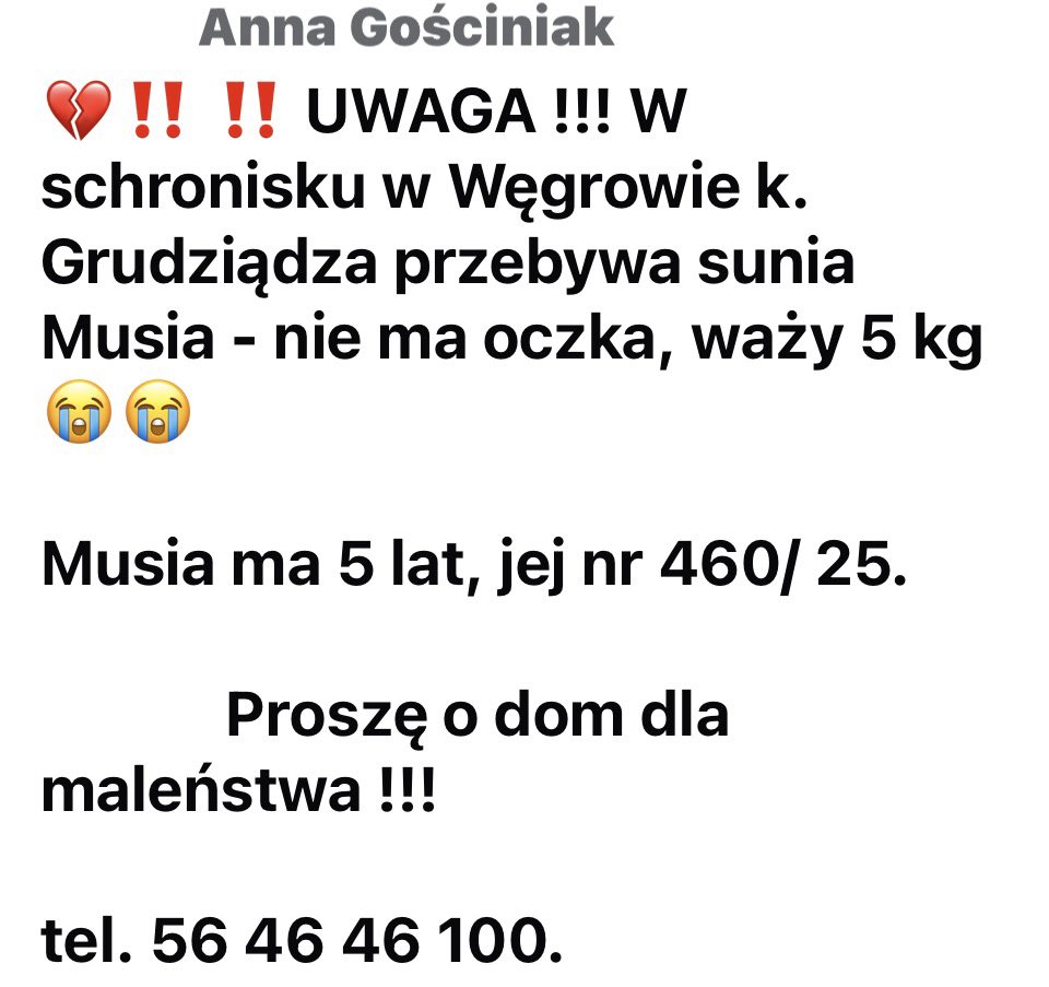 💔‼ ‼ UWAGA !!! 
W schronisku w Węgrowie k. Grudziądza przebywa sunia Musia - nie ma oczka, waży 5 kg 😭😭

Musia ma 5 lat, jej nr 460/ 25.

Proszę o dom dla maleństwa !!!

tel. 56 46 46 100.