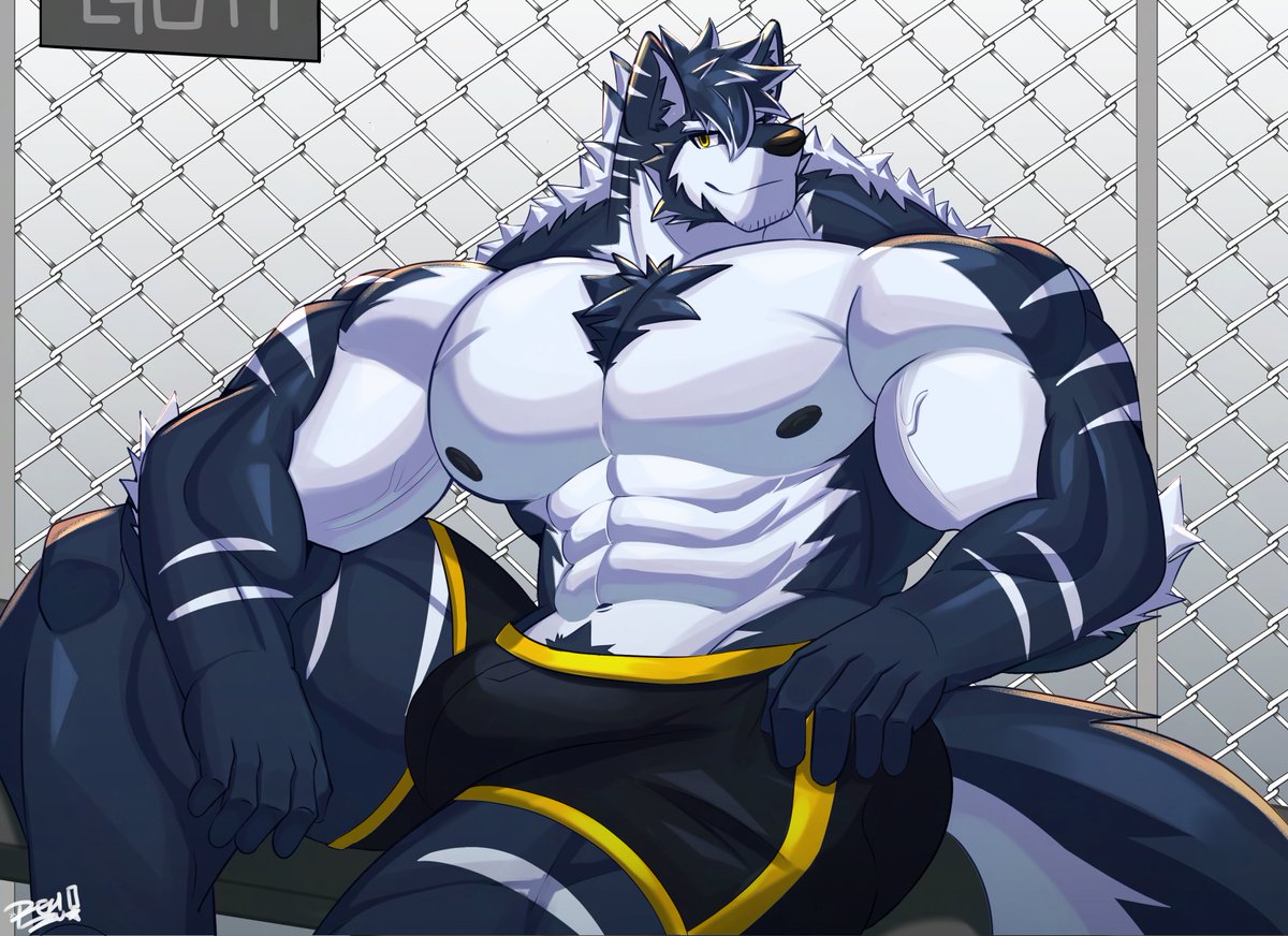 huge wolf bro just staring at you
