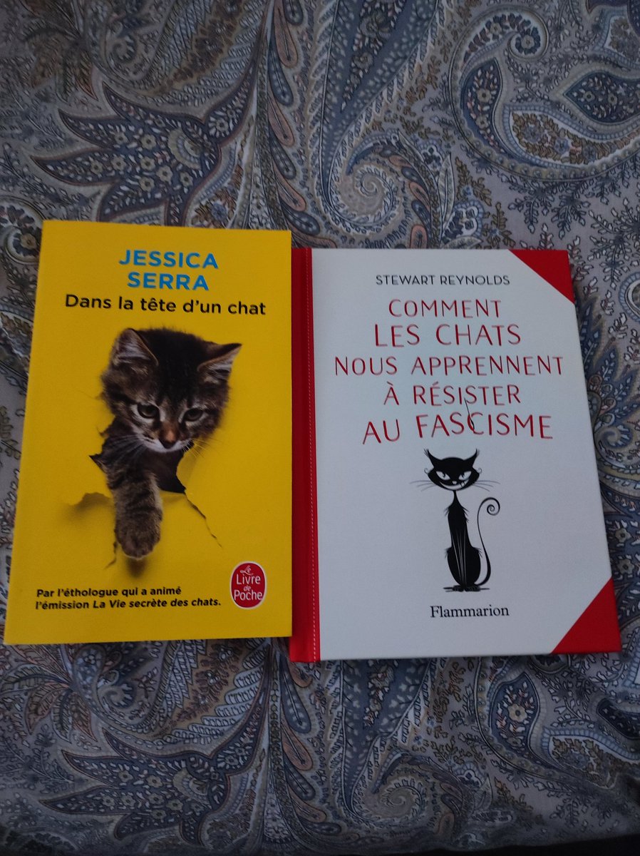 Riva des Sacrés Baldis ☀ 😻 tweet media