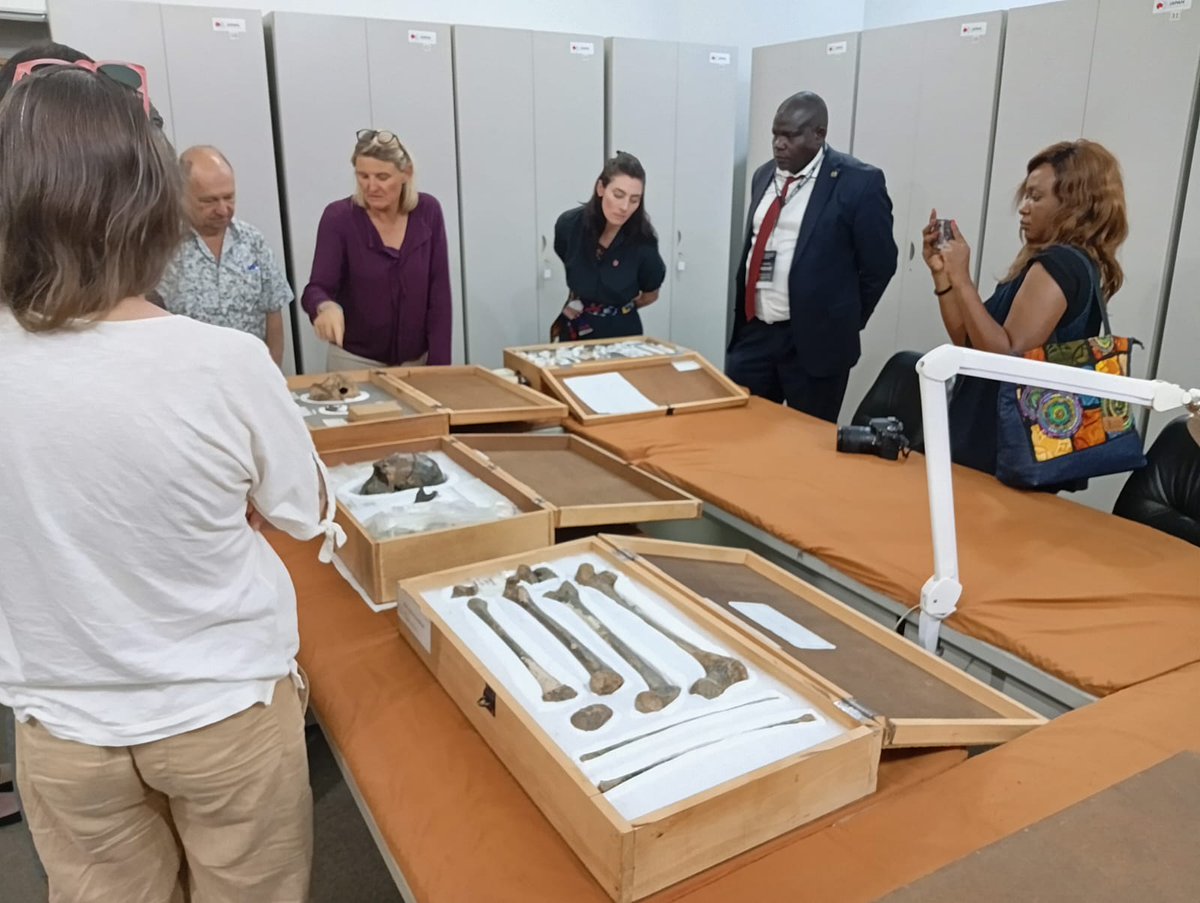museumsofkenya's tweet image. ⸻

Honoured to host Stony Brook University President Maurie McInnis at the National Museums of Kenya to explore our Earth Sciences work, Turkana Basin research collaboration, and fossil digitisation efforts.
A great example of the power of global research partnerships.