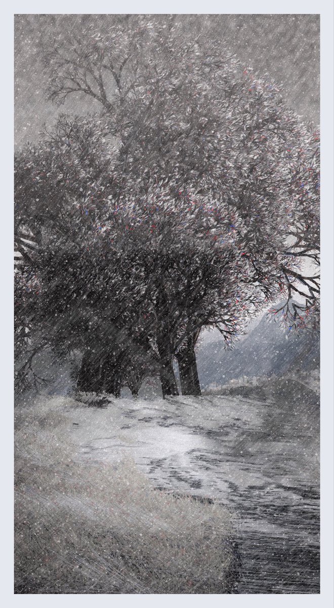 Qotonana tweet media