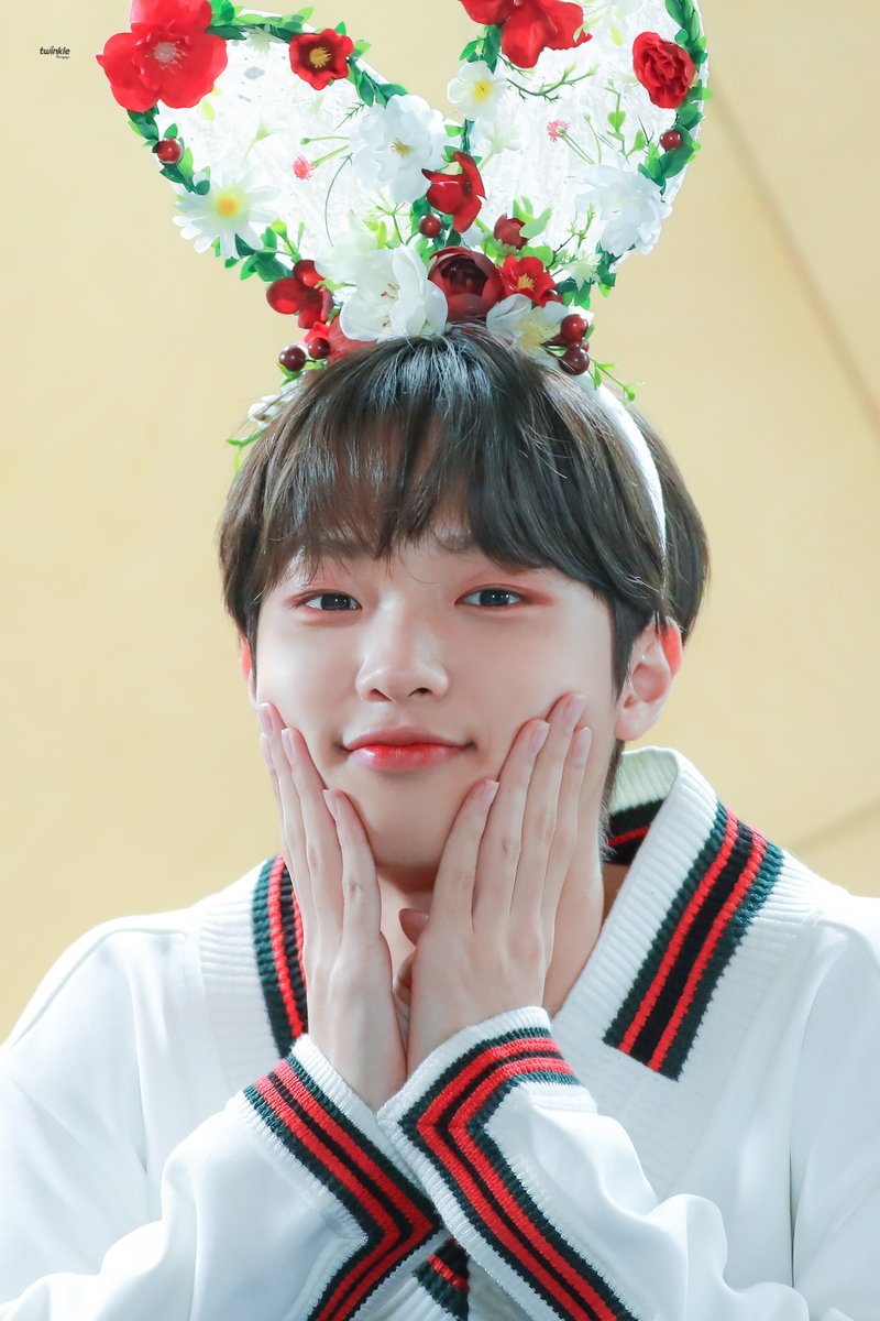 𝙩𝙬𝙞𝙣𝙠𝙡𝙚✨☘️ tweet media