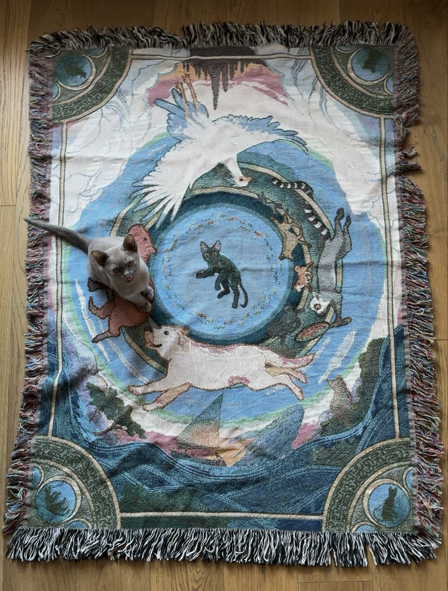 Kino is enjoying the Flow blanket.