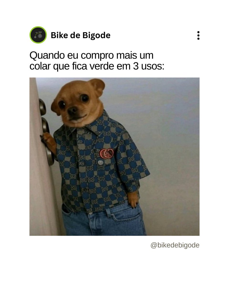 bikedebigode's tweet photo. Qualidade de verdade é quando você pode usar o mesmo acessório todo dia sem ver ele perder o brilho.

💌 Enviamos para Todo o Brasil 
❤️ use cupom PRIMEIRA10 na sua primeira compra 💻 Link na Bio https://t.co/cM73QIL6A7