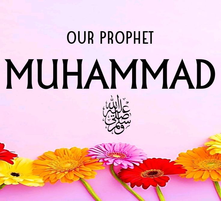 #ملک_پرموشن 
Followers🌷
<a href="/01Mllik/">𝙈𝘼𝙇𝙄𝙆 𝙅𝙄💫👑💙</a> <a href="/1arshd/">𝗔𝗿𝘀𝗵𝗱 𝗠𝗹𝗶𝗸💫👑</a>
<a href="/01rshd/">ارشـــد مــلــک❤️</a> <a href="/1Arshii/">𝓐𝓻𝓼𝓱𝓲𝓪 🌸💫</a>
<a href="/1Mlick/">𝓜𝓪𝓵𝓲𝓴💫👑</a> <a href="/1gul4u/">💞Gull🌺Janat💗</a>
<a href="/pyaari_c/">𝐃ᴜᴀ.✰💙</a>
<a href="/K_G898/">کانچ کی گڑیا 🦋</a>
<a href="/sehrr_ik/">سحر ملک🦋👑</a>
<a href="/1Sehar_/">𝐒ҽԋαʀ 👑</a>
<a href="/1shobii/">Shoaib</a>
<a href="/1Am9a/">🕊️آمــنــہ مــلــک💅</a>
<a href="/Amejyj/">Amelia Cady</a>
<a href="/Zahi7y/">Weird👻</a>
<a href="/Hirsial/">🦋Soni Heer🐬</a>
<a href="/Hfn08/">𝐻𝒶𝓂𝓃𝒶 𝒦𝒽𝒶𝓃 ✨️</a>
<a href="/jst_4rU/">ßιℓαℓ🎭</a>
<a href="/Ghz35/">🇬 🇭 🇦 🇿 🇦 🇱 🇦 🇭</a>
<a href="/ze_kh1/">𝒁𝑒𝑒𝓃𝒾𝒶 𝒦𝒽𝒶𝓃 ❤️</a>
<a href="/zi9iya/">𝒁𝒾𝓃𝒾𝓎𝒶 𝒞𝒽 ✨🕊</a>
<a href="/seh1r/">𝐈𝐭'𝐬 𝐌𝐞 ♡👑</a>
<a href="/1Lvz0/">𝐿𝒶v𝑒𝑒𝓏𝒶_🍃</a>
<a href="/1Ansha/">ANISHA CH ᯓᡣ𐭩</a>
<a href="/shZ447/">🌻🌻🌻𝕊𝕙𝕒𝕙𝕫𝕒𝕕 𝕄𝕦𝕟𝕚𝕣🌻🌻🌻</a>
<a href="/bndy66/">khawaja ASÃD</a>
<a href="/sun_zara_/">شہزادہ بھائی</a>
<a href="/Haris_943/">𝒽𝒶𝓇𝒾𝓈 𝓅𝓉𝒾 ᵀᶠᴸᵂ(مانو)</a>
<a href="/Nooriyah_A/">Nooriyah</a>
<a href="/My_Noor_My_Love/">👑 ⃟ Rania🦋♥️ ⃟♥️</a>