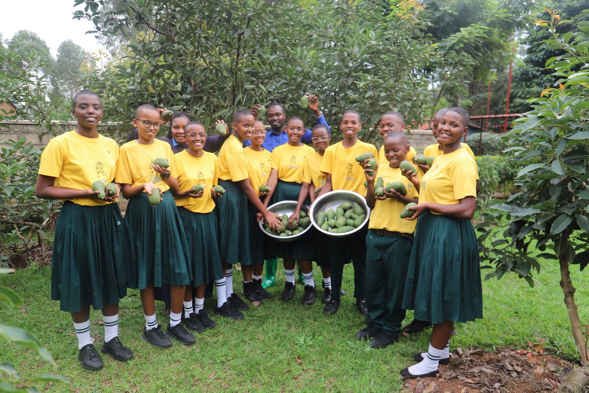 RCCS_GSF's tweet photo. Students joyfully take part in harvesting fresh fruits from school garden, including avocados, mangoes, and watermelons. As members of the Environment Club, they learn and practice environmental protection. This achievement was made possible by our agronomist @mujyamberedieu2, https://t.co/SWZLcFQyZb