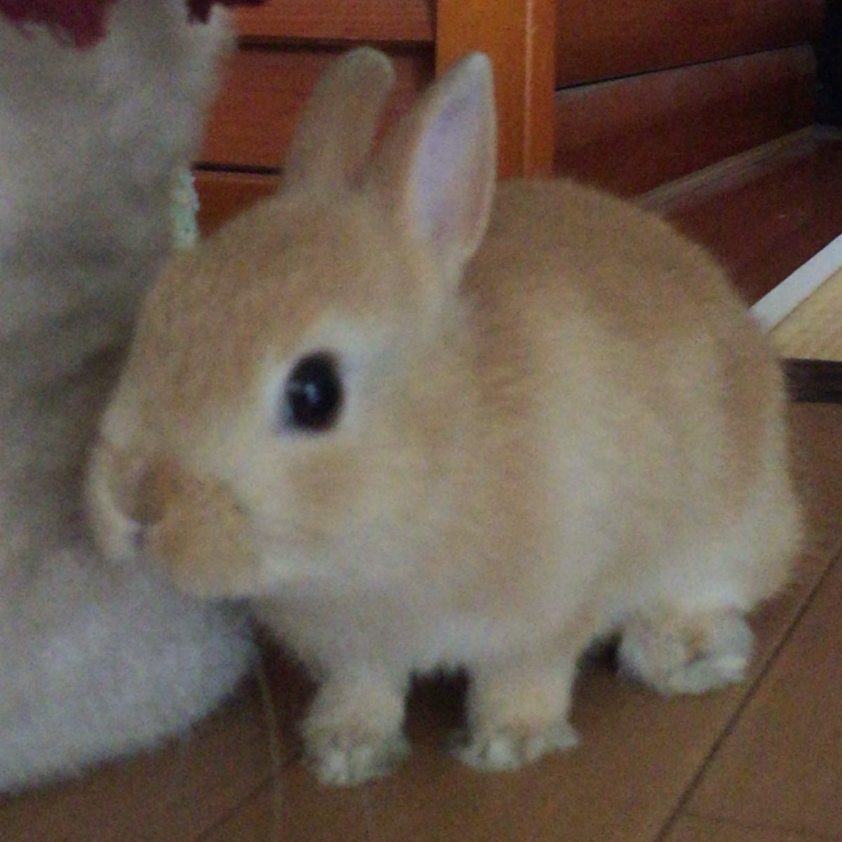 💖내추럴 본프리티💖