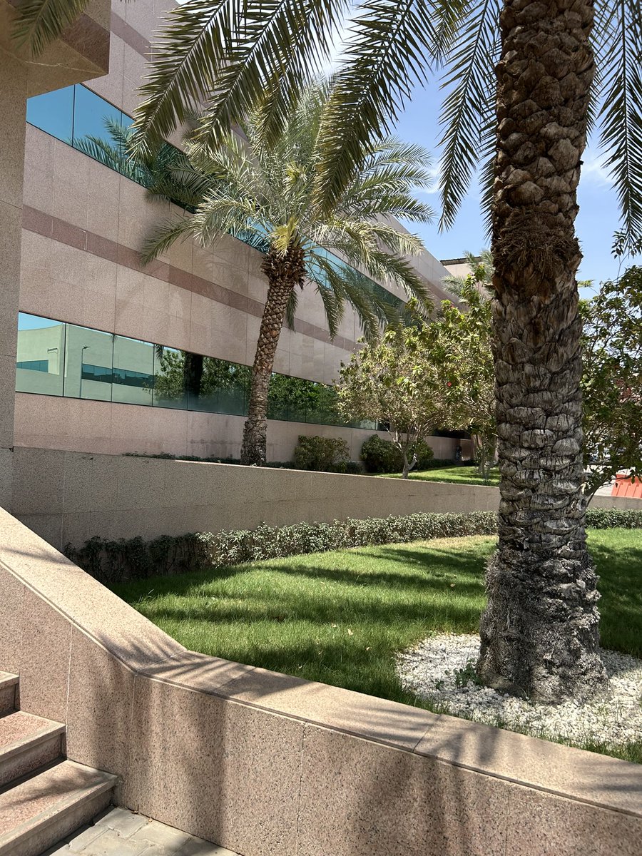 فرَح tweet media