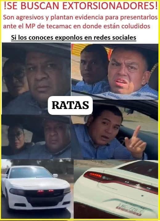 HtTrejo's tweet image. Aguas con estos *ministeriales *