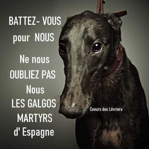 AdeaClaude's tweet image. 