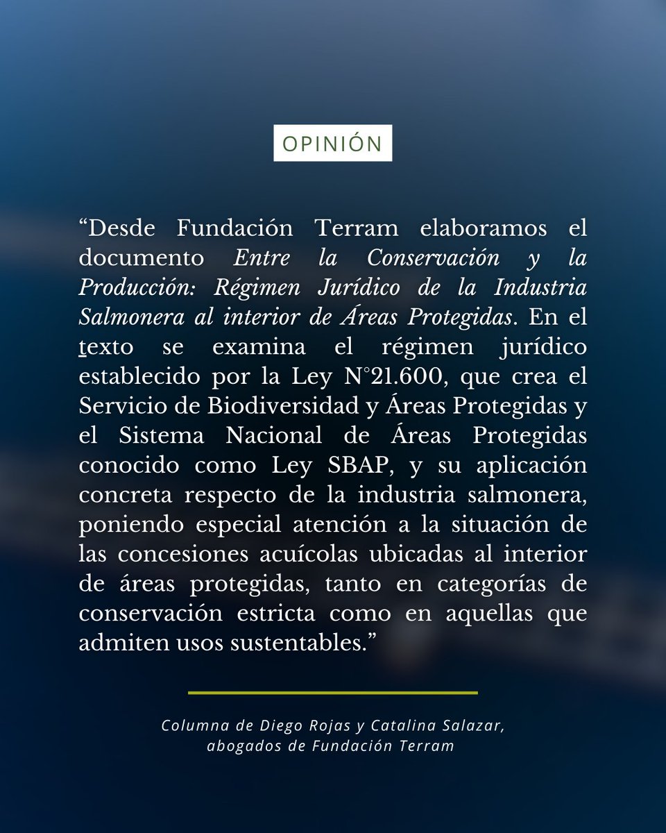Fundación Terram tweet media