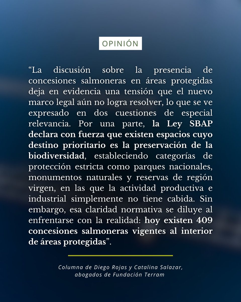 Fundación Terram tweet media