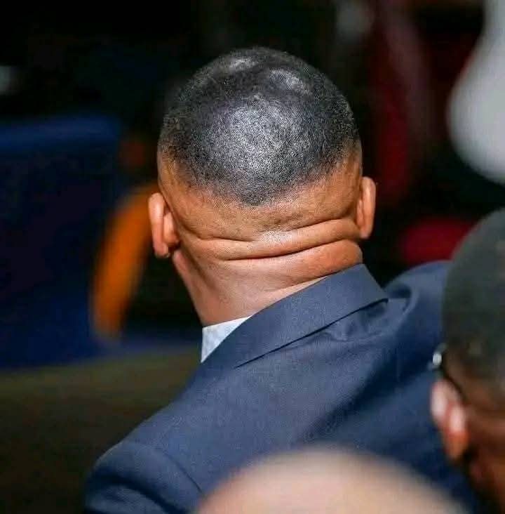 MasieTiro's tweet image. I was listening carefully and in good faith to this presentation on the healthcare crisis until the Ombudsman, Stephen Tiroyakgosi, stated:

“The failure to provide an adequate level of healthcare is largely due to the lack of a legal basis to form an entitlement to the right to…