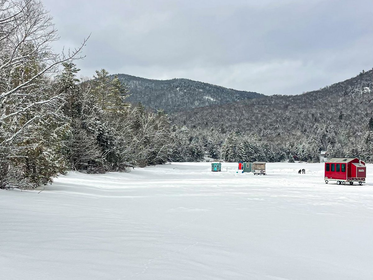 Ariana Elena Castillo tweet media