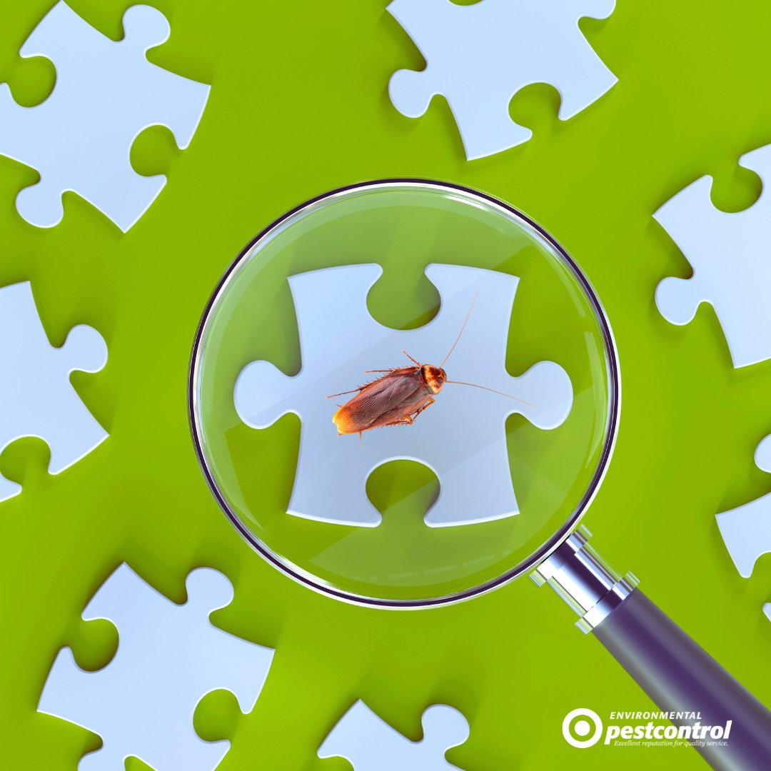 ENVPestControl's tweet image. Pest ID is BIG part of resolving a pest issue. Different pest species often require different solutions. When dealing with unwanted pests the first step is to identify the pest, which is where we can help!  #PestControlAdvice #PestFreeLiving #EnvironmentalPestControl