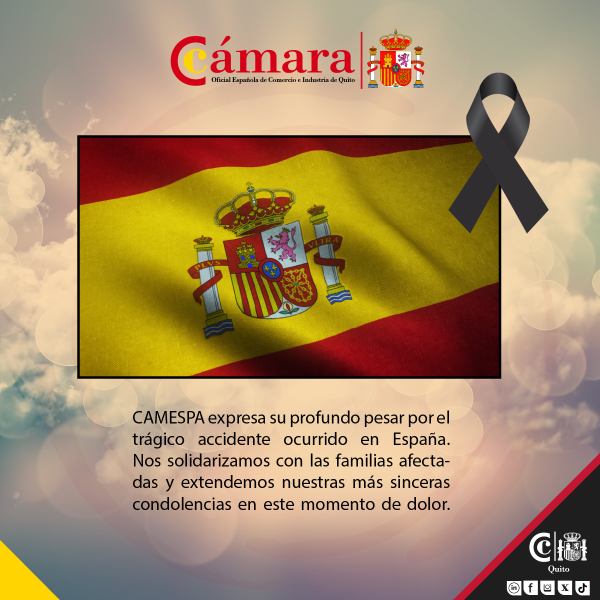 La Cámara Oficial Española de Comercio e Industria de Quito, manifiesta su profundo pesar por el trágico accidente ocurrido en España.

Acompañamos con respeto y solidaridad a las familias de las víctimas, a quienes extendemos nuestras más sentidas condolencias.